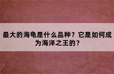 最大的海龟是什么品种？它是如何成为海洋之王的？