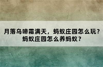 月落乌啼霜满天，蚂蚁庄园怎么玩？蚂蚁庄园怎么养蚂蚁？