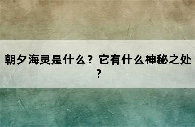 朝夕海灵是什么？它有什么神秘之处？