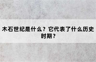 木石世纪是什么？它代表了什么历史时期？