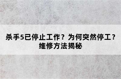 杀手5已停止工作？为何突然停工？维修方法揭秘