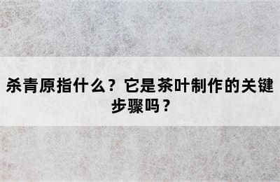 杀青原指什么？它是茶叶制作的关键步骤吗？