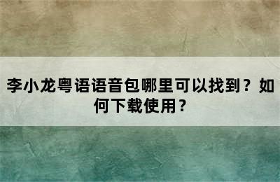 李小龙粤语语音包哪里可以找到？如何下载使用？