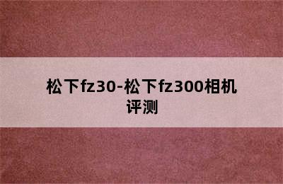 松下fz30-松下fz300相机评测