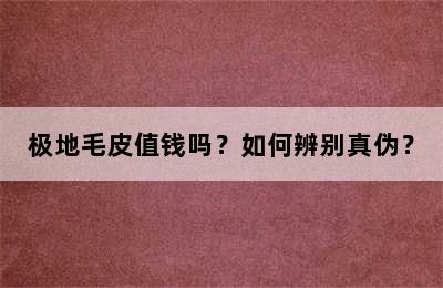 极地毛皮值钱吗？如何辨别真伪？