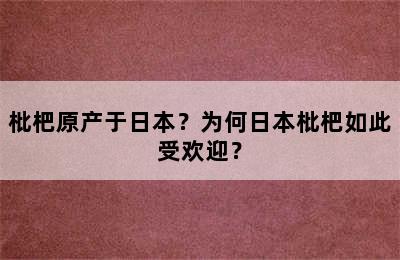 枇杷原产于日本？为何日本枇杷如此受欢迎？