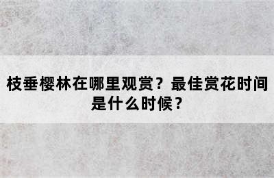 枝垂樱林在哪里观赏？最佳赏花时间是什么时候？