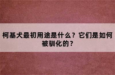 柯基犬最初用途是什么？它们是如何被驯化的？