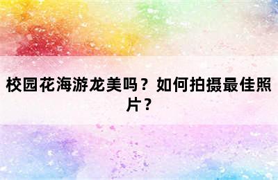 校园花海游龙美吗？如何拍摄最佳照片？