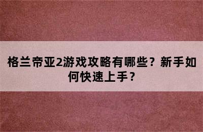 格兰帝亚2游戏攻略有哪些？新手如何快速上手？