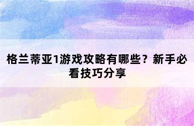 格兰蒂亚1游戏攻略有哪些？新手必看技巧分享