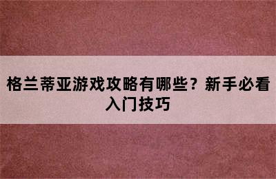 格兰蒂亚游戏攻略有哪些？新手必看入门技巧