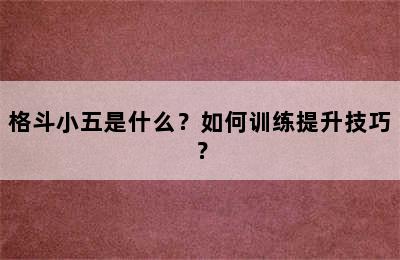 格斗小五是什么？如何训练提升技巧？