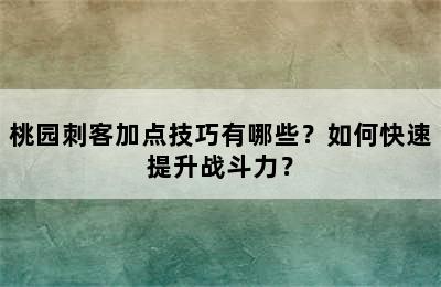 桃园刺客加点技巧有哪些？如何快速提升战斗力？