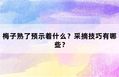 梅子熟了预示着什么？采摘技巧有哪些？