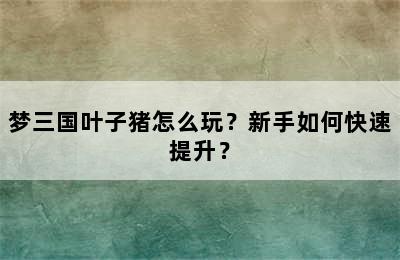 梦三国叶子猪怎么玩？新手如何快速提升？