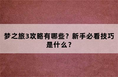 梦之旅3攻略有哪些？新手必看技巧是什么？