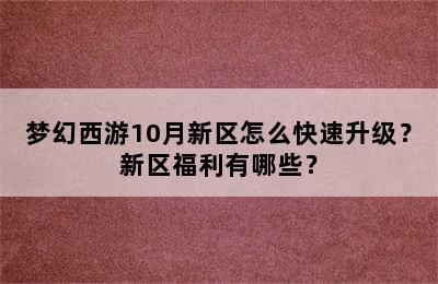 梦幻西游10月新区怎么快速升级？新区福利有哪些？