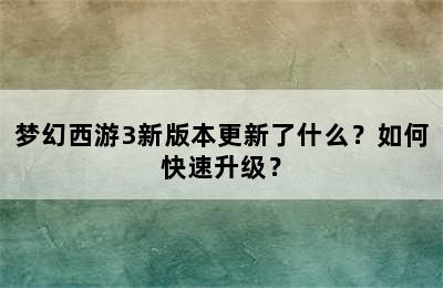 梦幻西游3新版本更新了什么？如何快速升级？