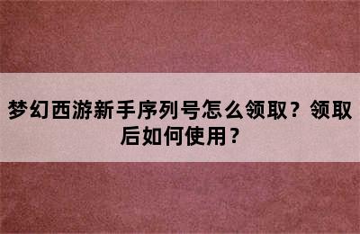 梦幻西游新手序列号怎么领取？领取后如何使用？