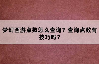 梦幻西游点数怎么查询？查询点数有技巧吗？