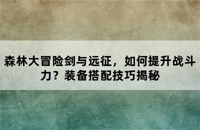 森林大冒险剑与远征，如何提升战斗力？装备搭配技巧揭秘