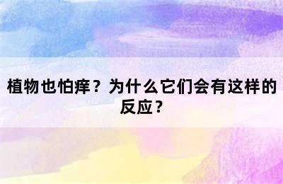 植物也怕痒？为什么它们会有这样的反应？