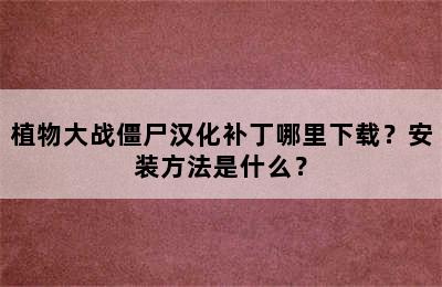 植物大战僵尸汉化补丁哪里下载？安装方法是什么？