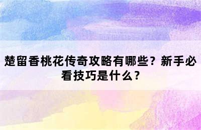 楚留香桃花传奇攻略有哪些？新手必看技巧是什么？