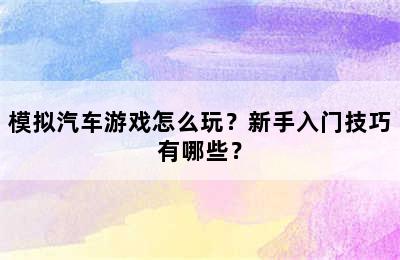 模拟汽车游戏怎么玩？新手入门技巧有哪些？