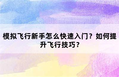 模拟飞行新手怎么快速入门？如何提升飞行技巧？