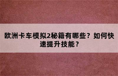 欧洲卡车模拟2秘籍有哪些？如何快速提升技能？