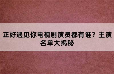 正好遇见你电视剧演员都有谁？主演名单大揭秘