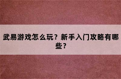 武易游戏怎么玩？新手入门攻略有哪些？