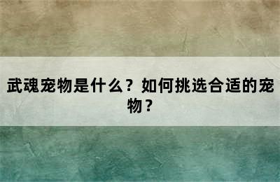 武魂宠物是什么？如何挑选合适的宠物？