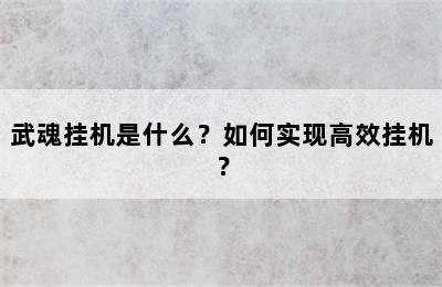 武魂挂机是什么？如何实现高效挂机？