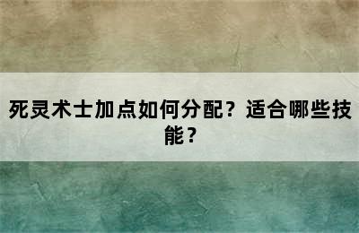 死灵术士加点如何分配？适合哪些技能？