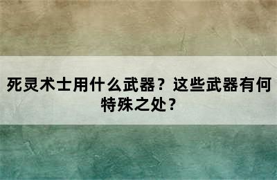 死灵术士用什么武器？这些武器有何特殊之处？