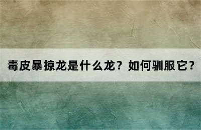 毒皮暴掠龙是什么龙？如何驯服它？