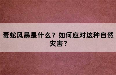 毒蛇风暴是什么？如何应对这种自然灾害？