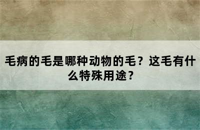 毛病的毛是哪种动物的毛？这毛有什么特殊用途？