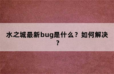 水之城最新bug是什么？如何解决？