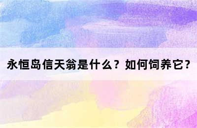 永恒岛信天翁是什么？如何饲养它？