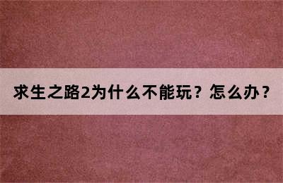 求生之路2为什么不能玩？怎么办？