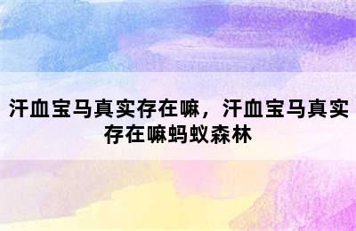 汗血宝马真实存在嘛，汗血宝马真实存在嘛蚂蚁森林