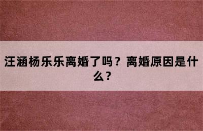 汪涵杨乐乐离婚了吗？离婚原因是什么？