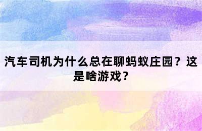 汽车司机为什么总在聊蚂蚁庄园？这是啥游戏？