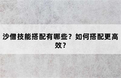 沙僧技能搭配有哪些？如何搭配更高效？