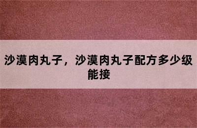 沙漠肉丸子，沙漠肉丸子配方多少级能接