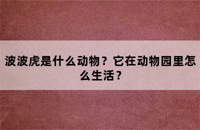 波波虎是什么动物？它在动物园里怎么生活？